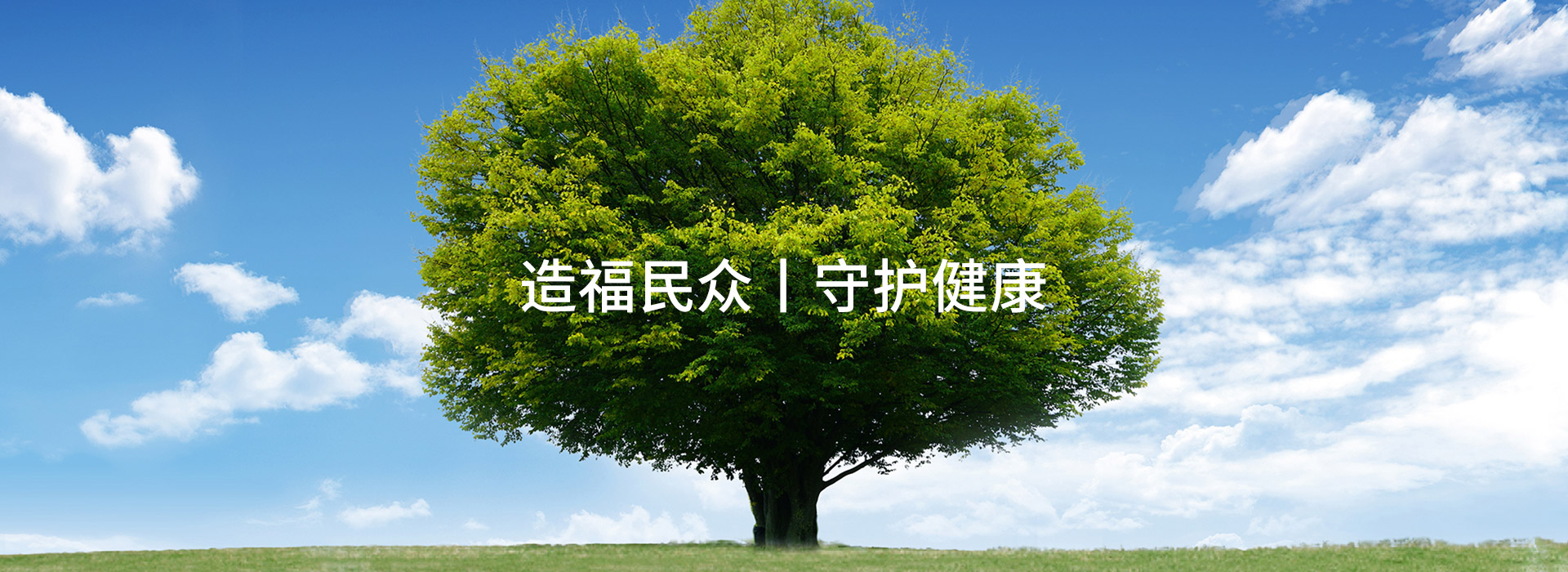 胡文祥院士