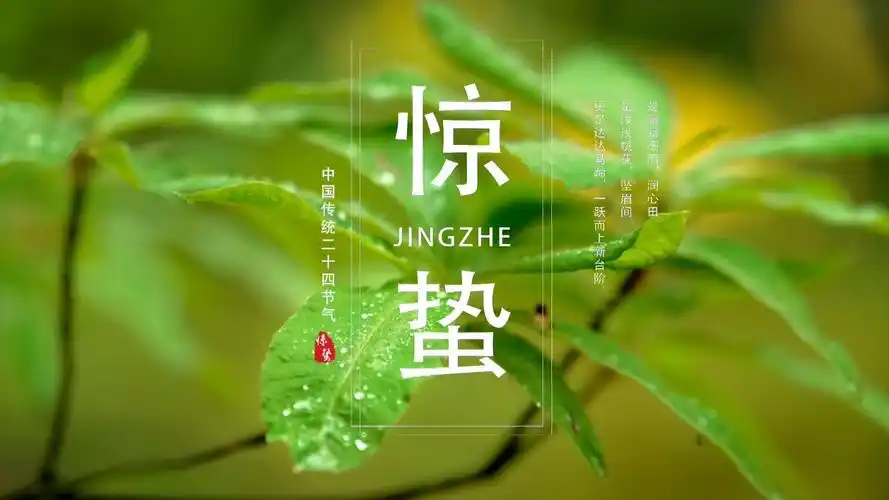 春雷响，万物长：惊蛰时节的“养生”必修课